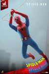 Spider-Man (Prototype Shown) View 6