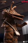 Kanegon (Special Edition) (Prototype Shown) View 13