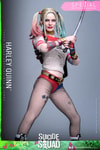 Harley Quinn (Special Edition) (Prototype Shown) View 3