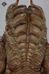 Miclas (Prototype Shown) View 12