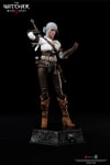 Ciri of Cintra (Prototype Shown) View 8