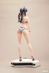 Hakuyou Maruko and Konno Ao (Prototype Shown) View 16