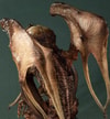 Cthulhu V2 (Prototype Shown) View 4