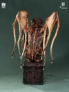 Cthulhu V2 (Prototype Shown) View 11