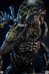 Grid Alien 1:2 Scale Statue by PCS | Sideshow Collectibles