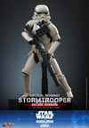 Imperial Remnant Stormtrooper (Deluxe Version) (Prototype Shown) View 14