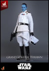 Grand Admiral Thrawn™ (Imperial Armor) (Prototype Shown) View 13