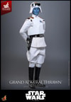 Grand Admiral Thrawn™ (Imperial Armor) (Prototype Shown) View 15