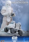 Imperial Remnant Snowtrooper (Prototype Shown) View 5