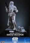 Imperial Remnant Snowtrooper (Prototype Shown) View 13