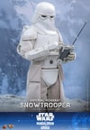 Imperial Remnant Snowtrooper (Prototype Shown) View 15