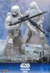 Imperial Remnant Snowtrooper (Prototype Shown) View 17