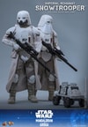 Imperial Remnant Snowtrooper (Prototype Shown) View 19