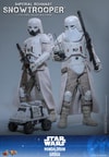 Imperial Remnant Snowtrooper (Prototype Shown) View 20