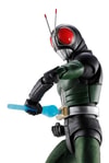 Kamen Rider Black RX (Prototype Shown) View 12