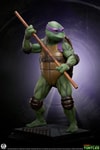 TMNT - Donatello (Prototype Shown) View 7