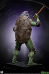 TMNT - Donatello (Prototype Shown) View 10