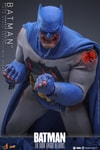 Batman™ (Battle Damaged Version) (Prototype Shown) View 5
