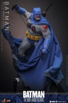 Batman™ (Battle Damaged Version) (Prototype Shown) View 14