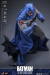 Batman™ (Battle Damaged Version) (Prototype Shown) View 17
