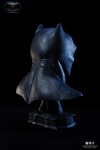 Batman Cowl (Prototype Shown) View 9