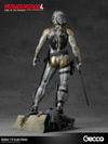 Raiden (Prototype Shown) View 10