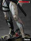 Raiden (Prototype Shown) View 12