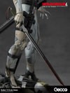 Raiden (Prototype Shown) View 15