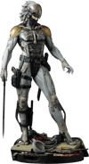 Raiden (Prototype Shown) View 18
