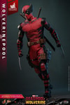 Wolverinepool (Prototype Shown) View 14