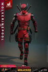 Wolverinepool (Prototype Shown) View 15