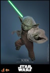 Yoda (Prototype Shown) View 11