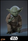 Yoda (Prototype Shown) View 18