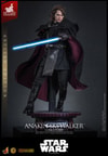 Anakin Skywalker™ (Concept Art Version) (Artisan Edition) (Prototype Shown) View 12