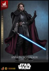 Anakin Skywalker™ (Concept Art Version) (Artisan Edition) (Prototype Shown) View 15