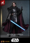 Anakin Skywalker™ (Concept Art Version) (Artisan Edition) (Prototype Shown) View 16