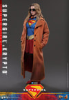 Supergirl™ & Krypto™ (Prototype Shown) View 17