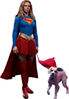 Supergirl™ & Krypto™ (Prototype Shown) View 24