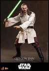 Qui-Gon Jinn™ Collector Edition (Prototype Shown) View 3