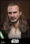 Qui-Gon Jinn™ Collector Edition (Prototype Shown) View 6