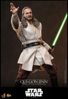 Qui-Gon Jinn™ Collector Edition (Prototype Shown) View 14