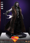 Lobo™ (Prototype Shown) View 10