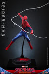 Spider-Man Collector Edition (Prototype Shown) View 10