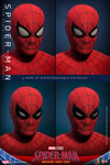 Spider-Man Collector Edition (Prototype Shown) View 13