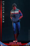 Spider-Man (Deluxe Version) (Prototype Shown) View 7