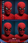 Spider-Man (Deluxe Version) (Prototype Shown) View 20
