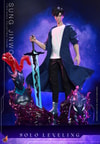 Sung Jinwoo (Prototype Shown) View 7