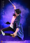 Sung Jinwoo (Prototype Shown) View 4