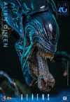 Alien Queen (Prototype Shown) View 6