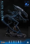 Alien Queen (Prototype Shown) View 9